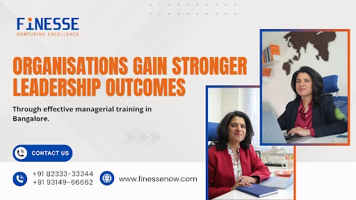 Finesse blog banner 47